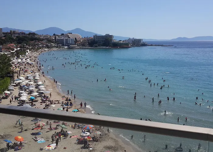 Ladies (adults Only)