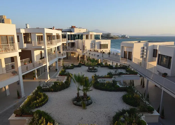 Ladies (adults Only) 5*