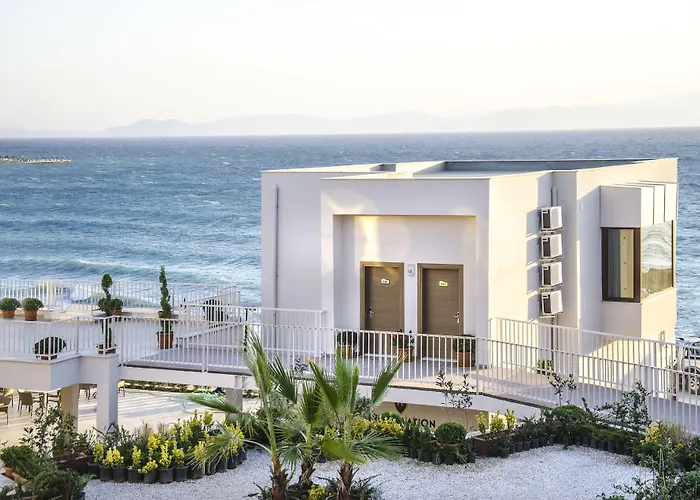 Ladies (adults Only)